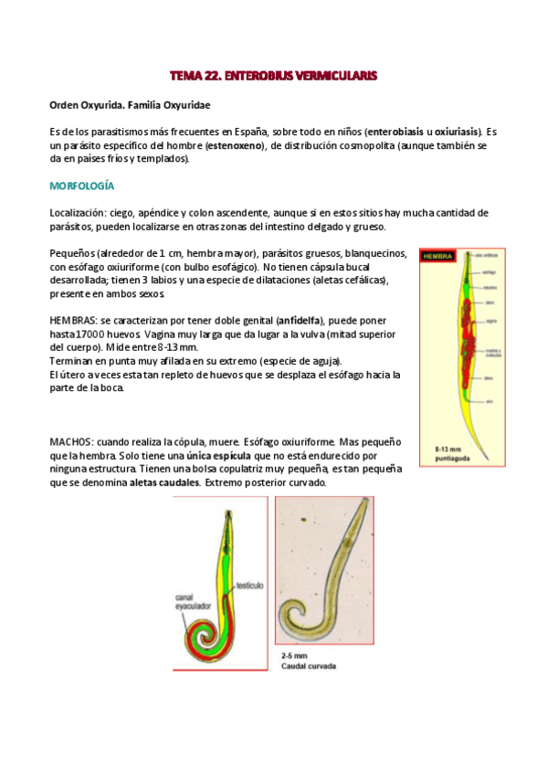 Miniatura del documento tema 22 parasitologia.pdf