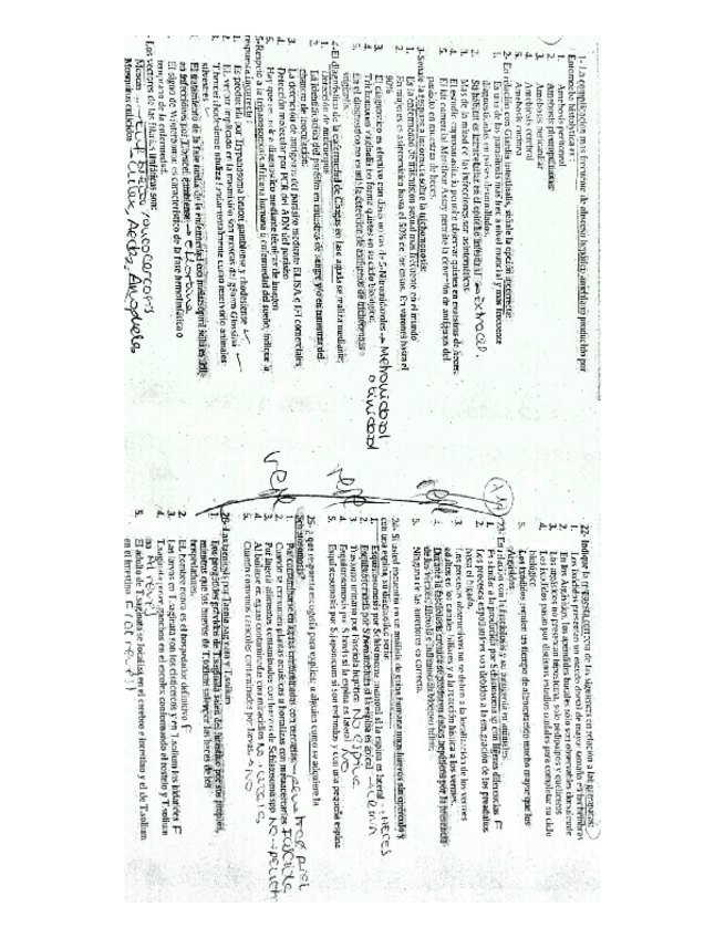 Miniatura del documento TEST PARASITO.pdf