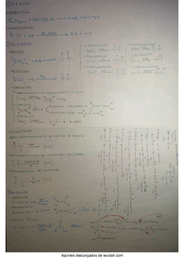 Miniatura del documento QO.pdf