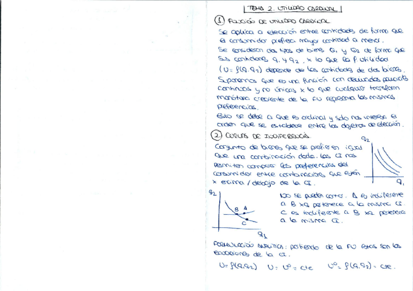 Miniatura del documento ESQUEMAS-MICRO.pdf