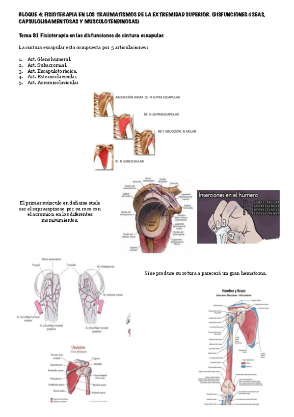 Miniatura del documento Tema-1.pdf