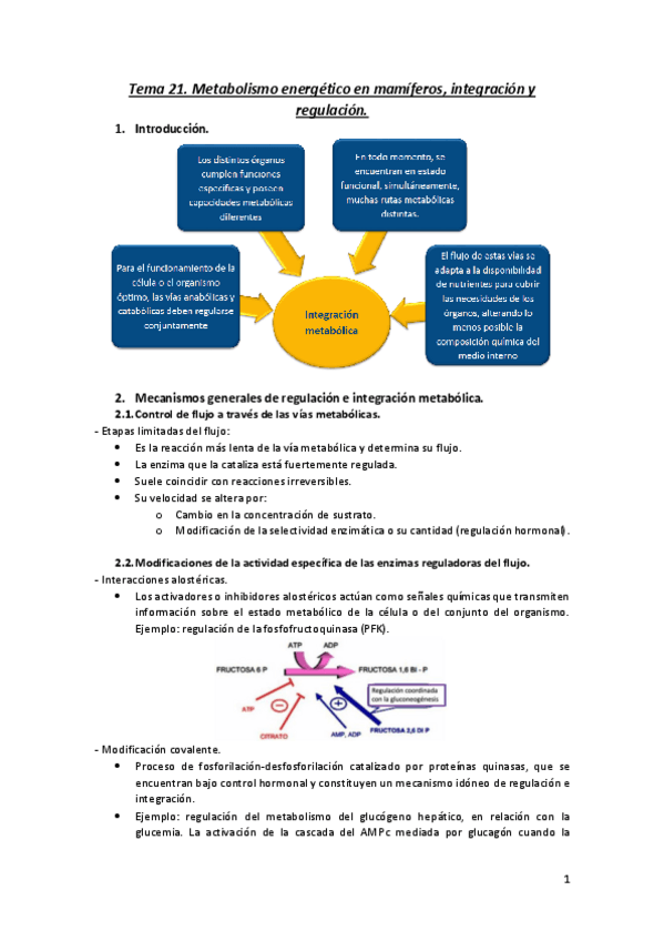 Miniatura del documento Tema-21.-Metabolismo-energetico-en-mamiferos..pdf