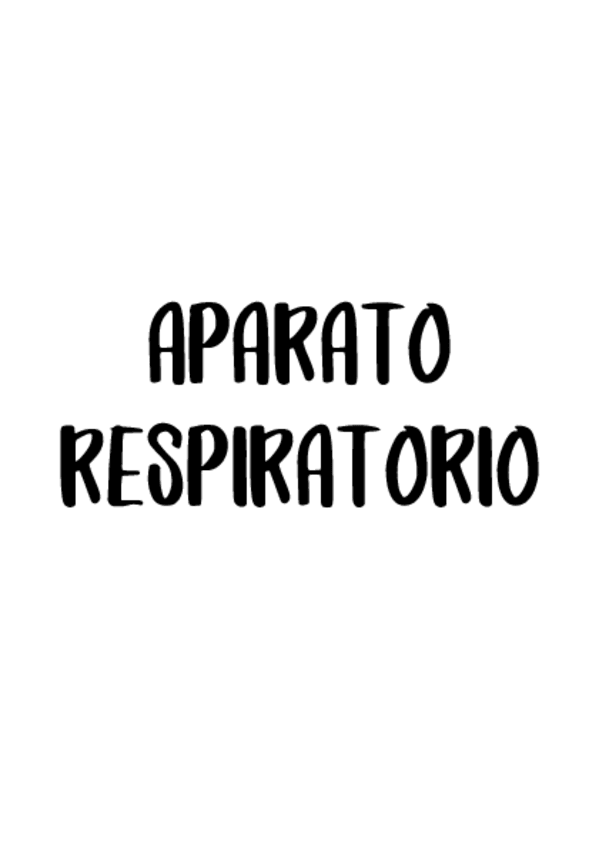 Miniatura del documento Dibujos-Anato-Respiratorio.pdf