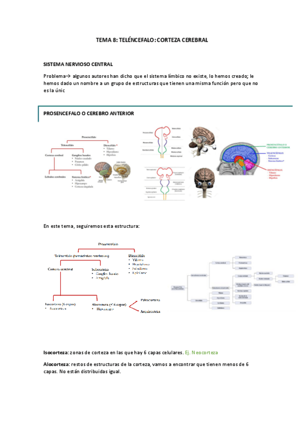Miniatura del documento APUNTES-PSICOBIOLOGIA.pdf