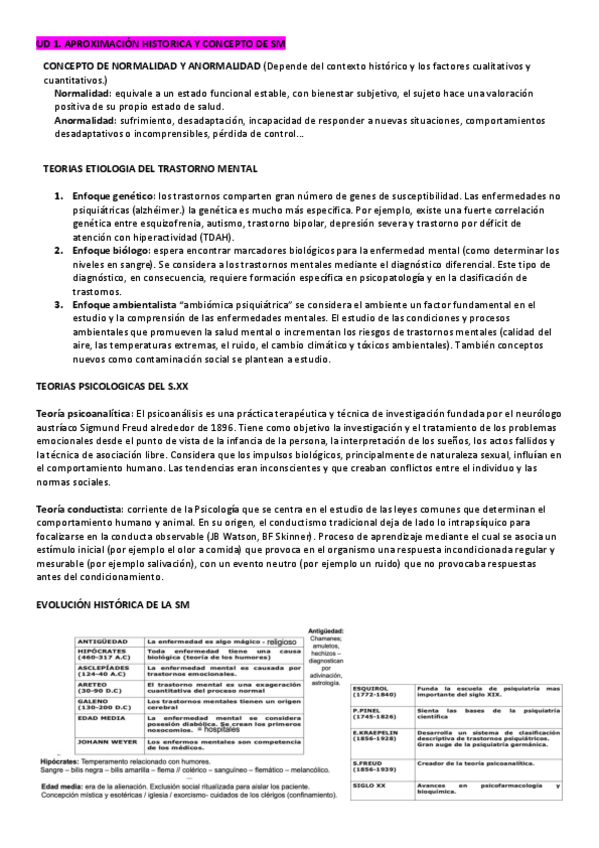 Miniatura del documento APUNTES-SALUD-MENTAL.pdf