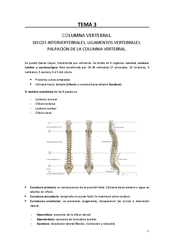 Miniatura del documento TEMA-3.-Columna-vertebral.pdf