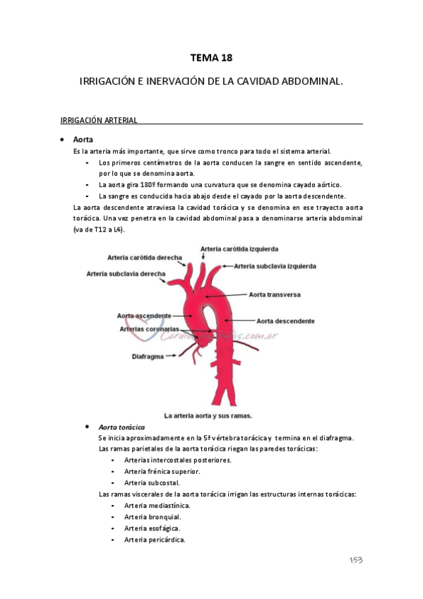 Miniatura del documento TEMA-18.-Irrigacion-torax.pdf