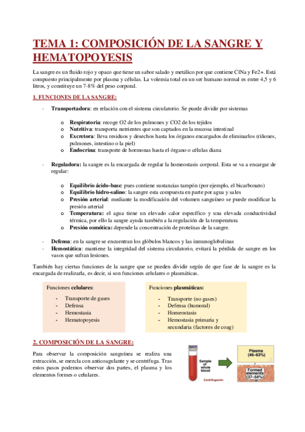 Miniatura del documento TEMA-1.pdf
