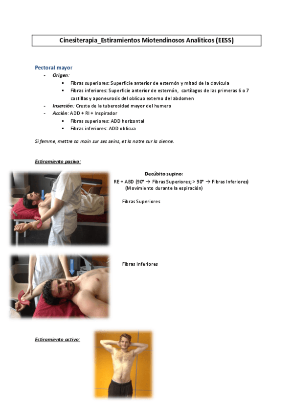Miniatura del documento Cinesi-Albert2-Estiramientos-miotendinosos-analiticos-EESS.pdf