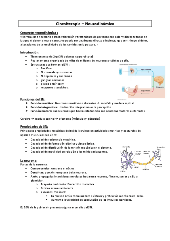 Miniatura del documento Cinesi-Albert4-Neurodinamica.pdf