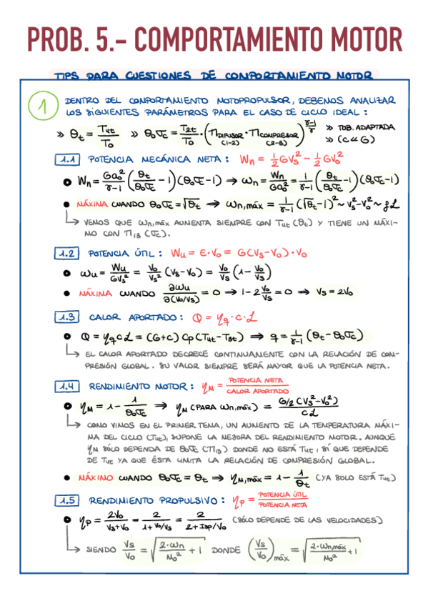 Miniatura del documento 5.2.-Test-y-Problemas-de-Comportamiento-Motor.pdf