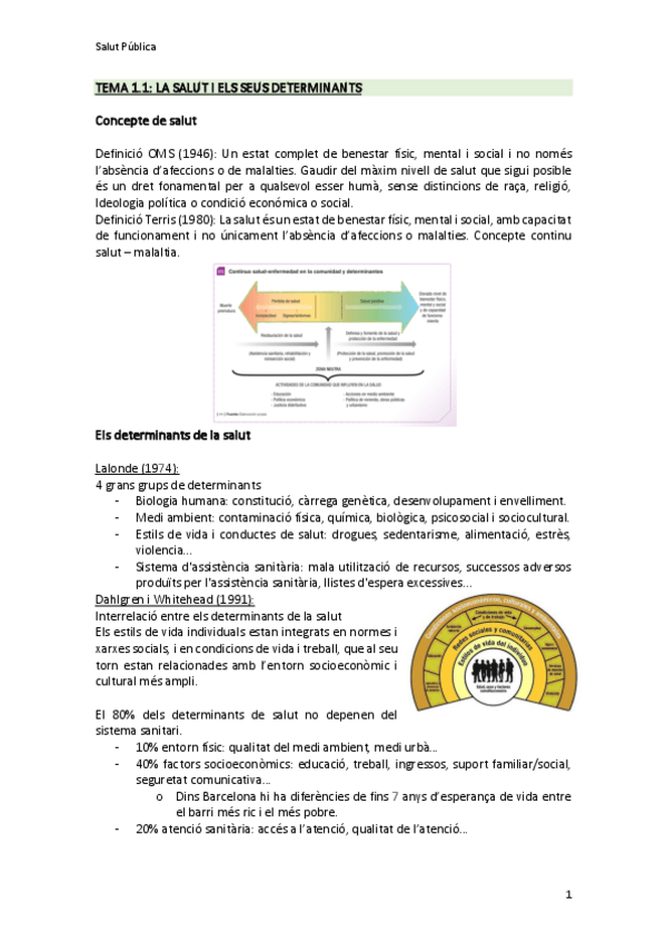 Miniatura del documento SALUT-PUBLICA.pdf