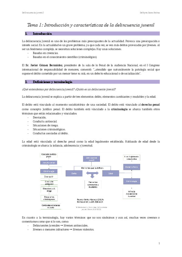 Miniatura del documento Tema-1-Introduccion-y-caracteristicas-de-la-delincuencia-juvenil-1.pdf