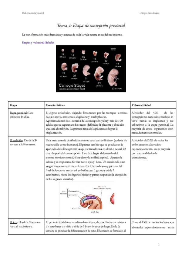 Miniatura del documento Tema-4-Concepcio-i-primera-infancia.pdf