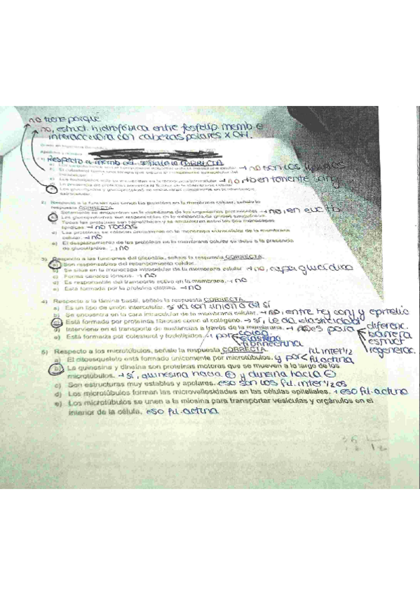 Miniatura del documento Examen-BCG-2023.pdf