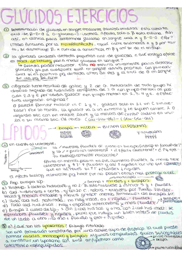 Miniatura del documento Ejercicios-BCG-glucidos-lipidos-proteinas-membrana-y-citoesqueleto.pdf