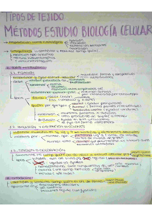 Miniatura del documento metodos-estudio-y-tejidos.pdf