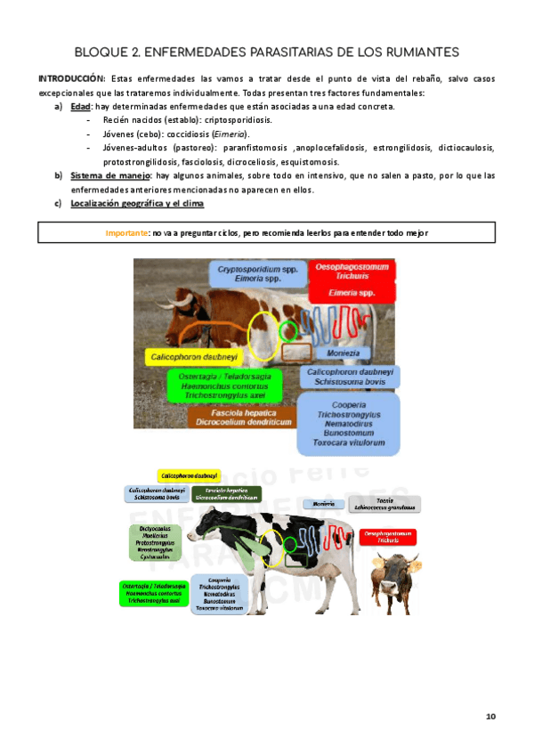 Miniatura del documento TEMA-3.-PROTOZOOS-INTESTINALES.pdf