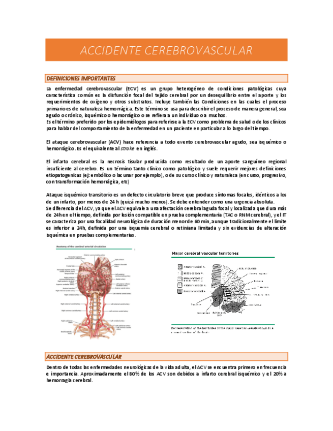 Miniatura del documento ACV-RESUMEN.pdf