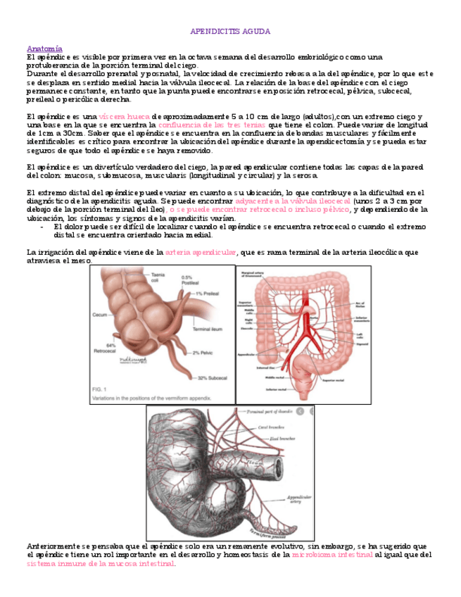 Miniatura del documento APENDICITIS-AGUDA.pdf