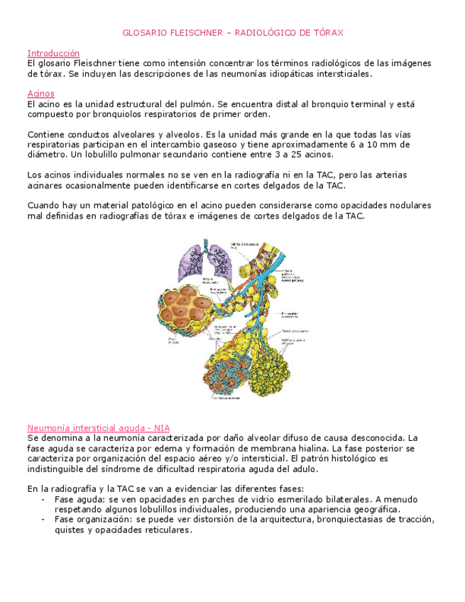 Miniatura del documento GLOSARIO-FLEISCHNER.docx.pdf