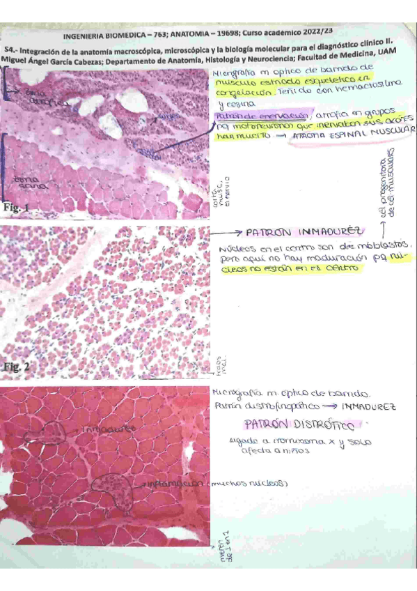Miniatura del documento seminario-4.pdf