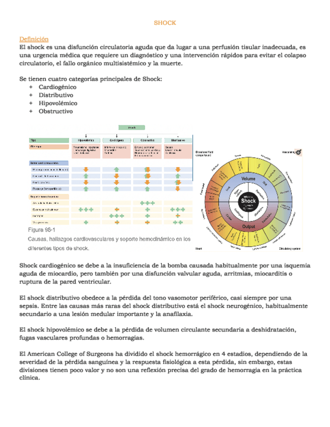 Miniatura del documento SHOCK.pdf