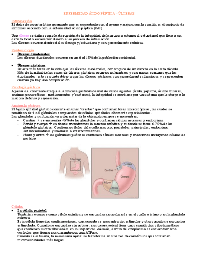 Miniatura del documento ULCERAS.pdf
