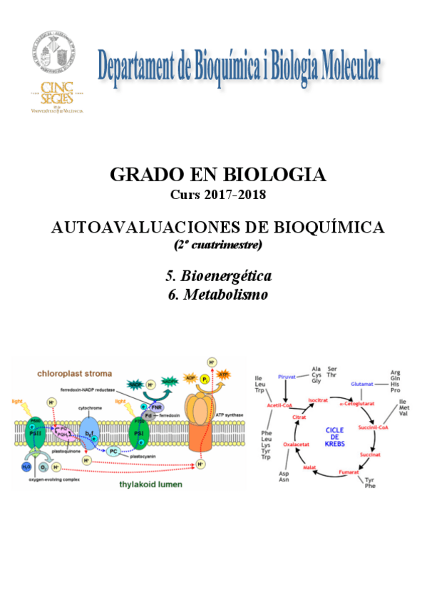 Miniatura del documento Autoeval 2º cuatrimestre 17-18.pdf