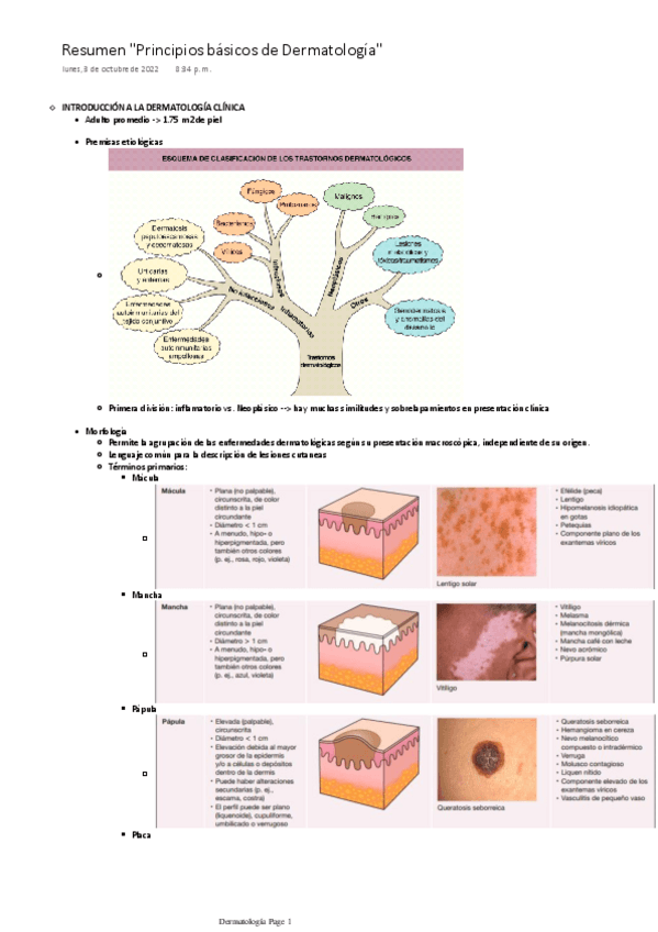 Miniatura del documento Resumen-Principios-basicos-de-Dermatologia.pdf