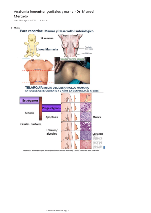 Miniatura del documento Anatomia-femenina-genitales-y-mamas.pdf