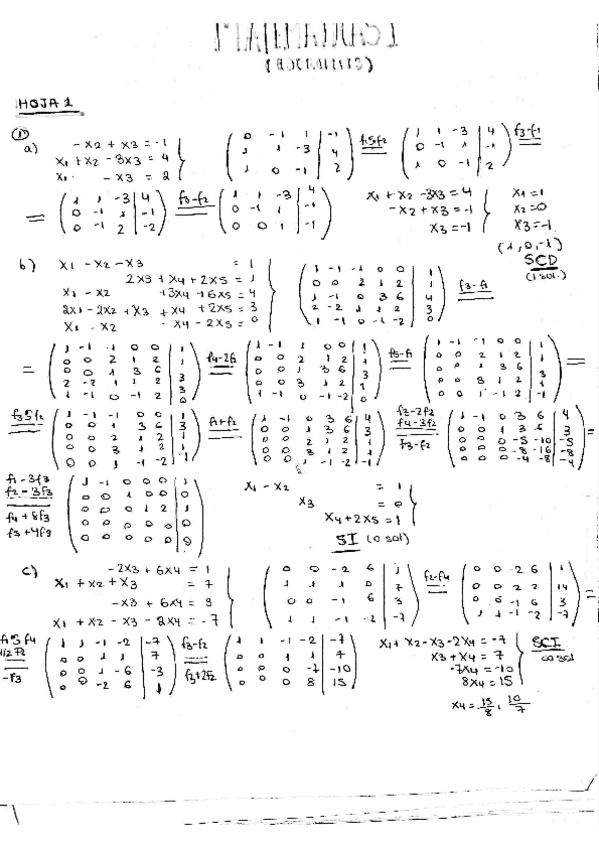 Miniatura del documento ejercicios-hojas.pdf
