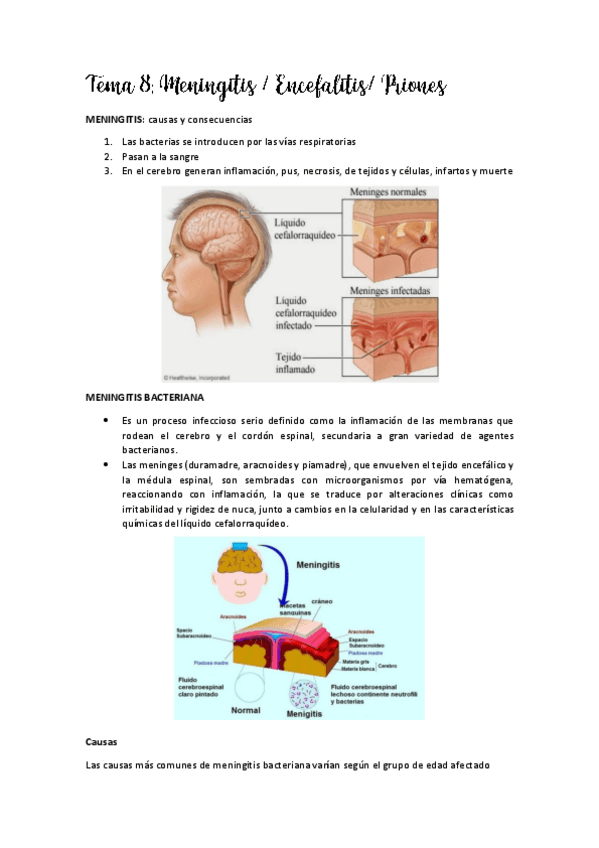 Miniatura del documento Tema-8.pdf