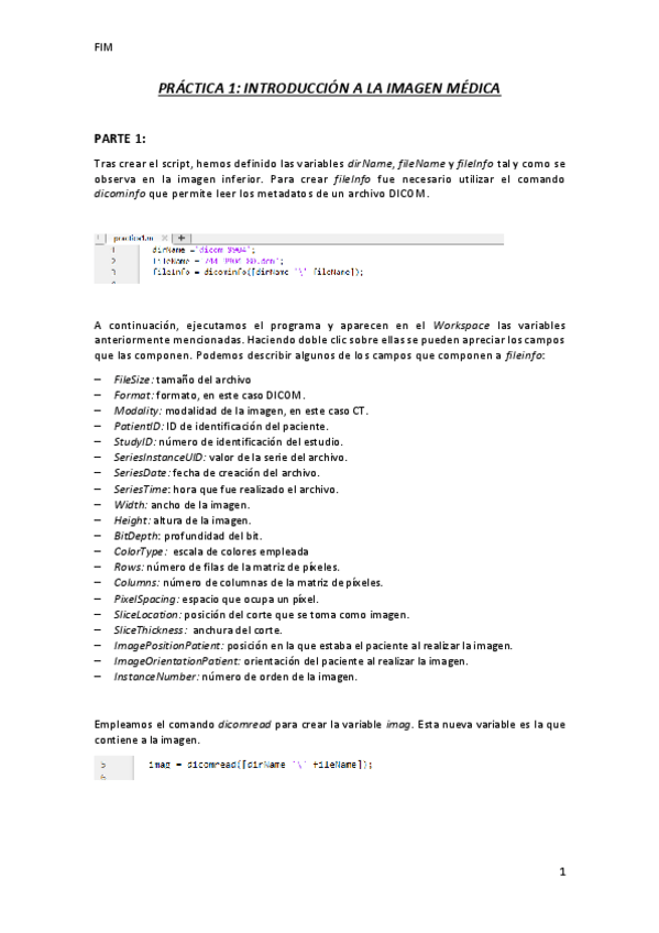 Miniatura del documento practica1fim.pdf