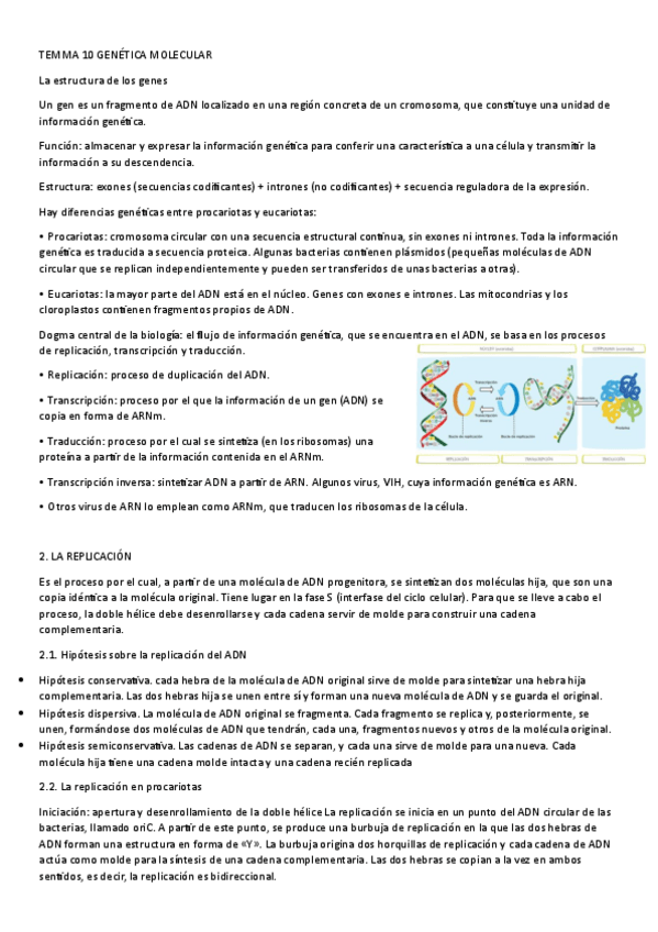 Miniatura del documento 2-Bach-TEMA-10-GENETICA-MOLECULAR.pdf