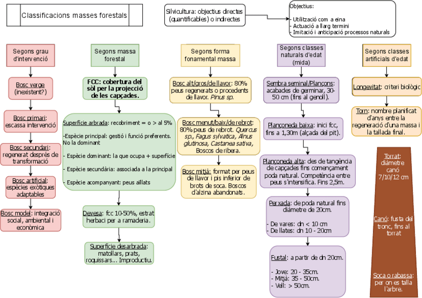 Miniatura del documento Masses-forestals-I.pdf