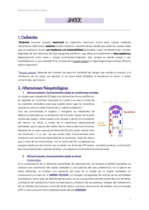 Miniatura del documento SHOCK.pdf