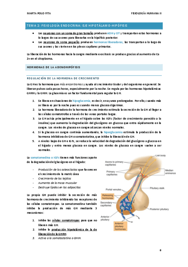 Miniatura del documento TEMA-2.-FISIO.pdf
