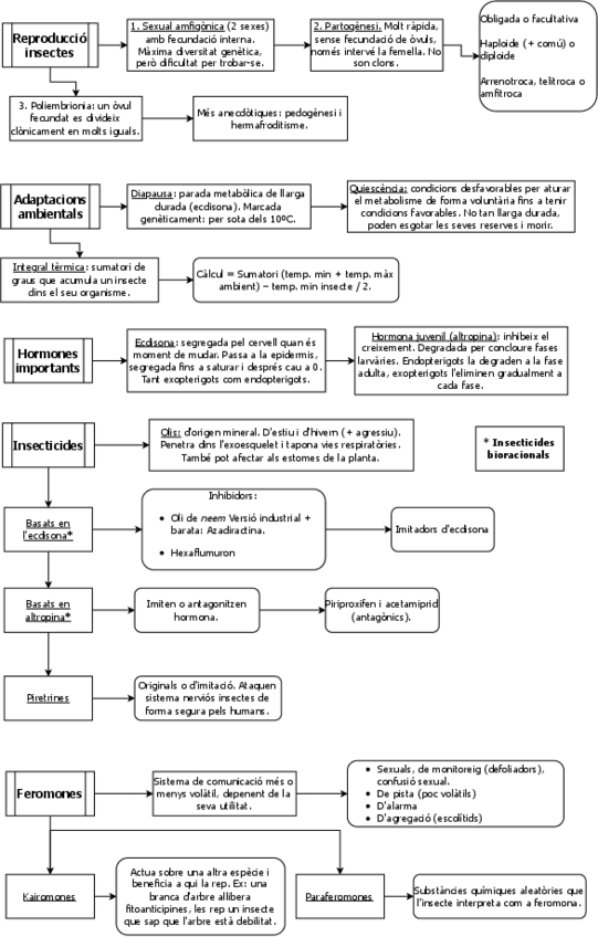 Miniatura del documento Insectes-II.pdf