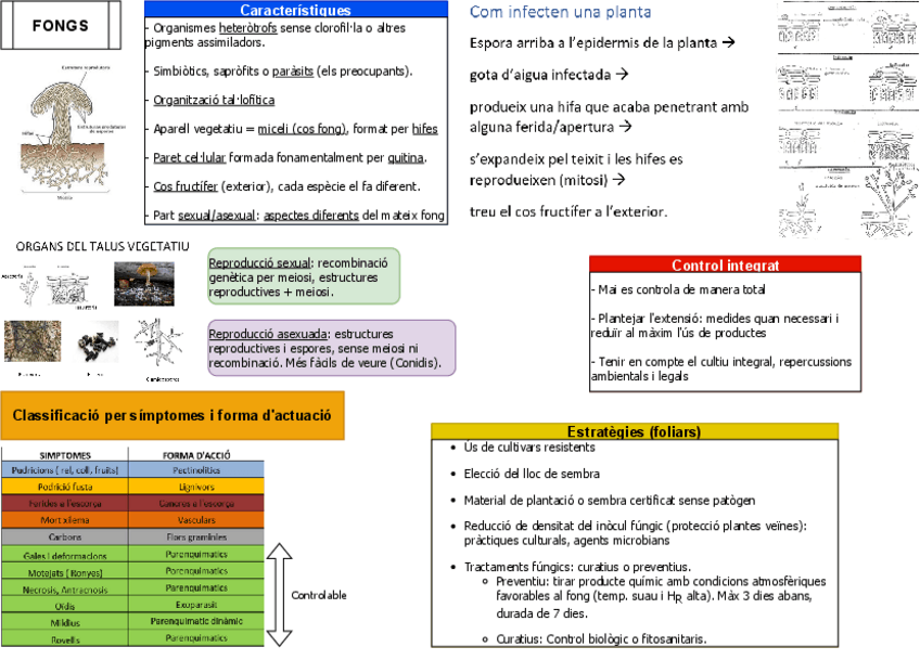 Miniatura del documento Fongs.pdf
