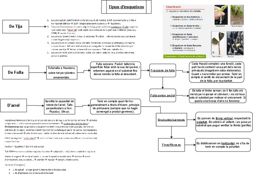 Miniatura del documento Tipus-desqueixos.pdf