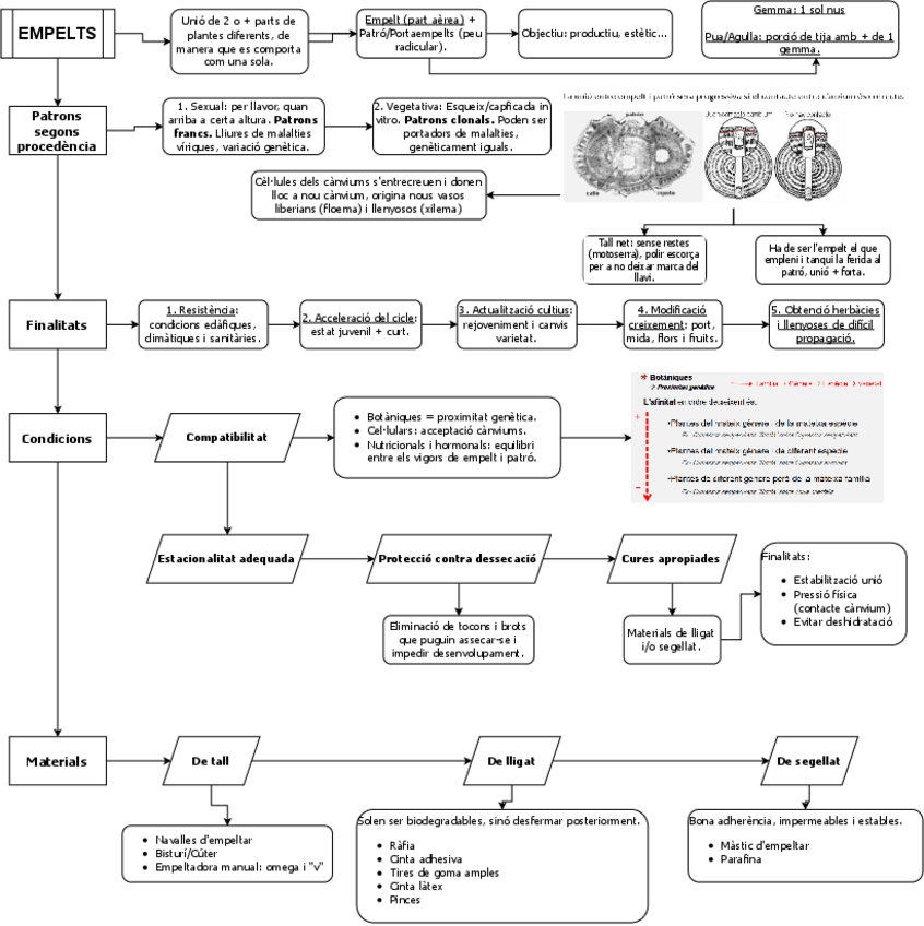 Miniatura del documento Empelts.pdf