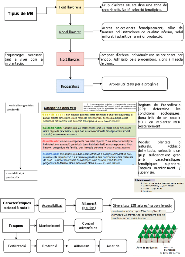 Miniatura del documento MFR.pdf