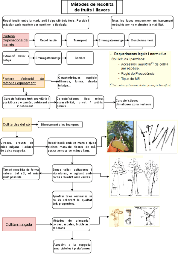 Miniatura del documento Recollida-fruits-llavors.pdf