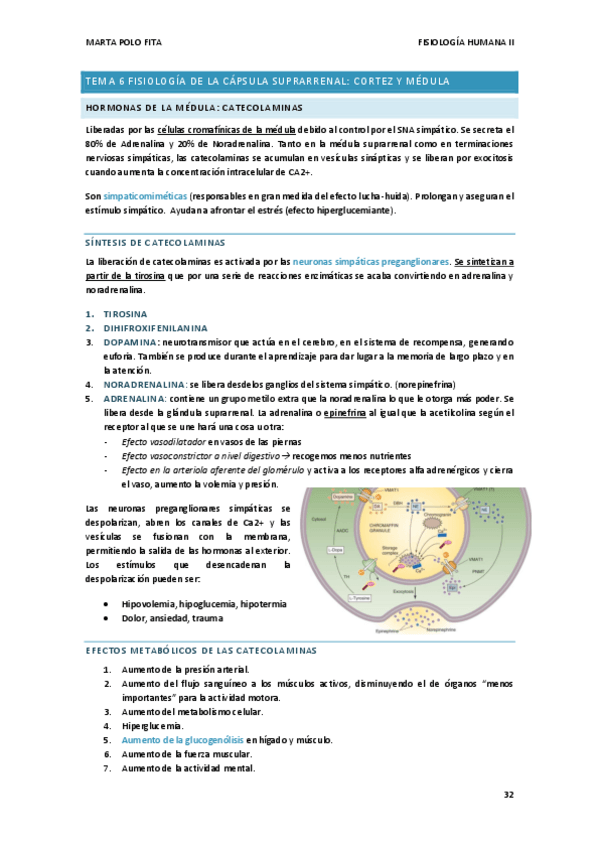 Miniatura del documento TEMA-6.-FISIO.pdf