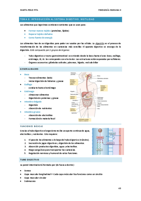 Miniatura del documento TEMA-8.FISIO.pdf