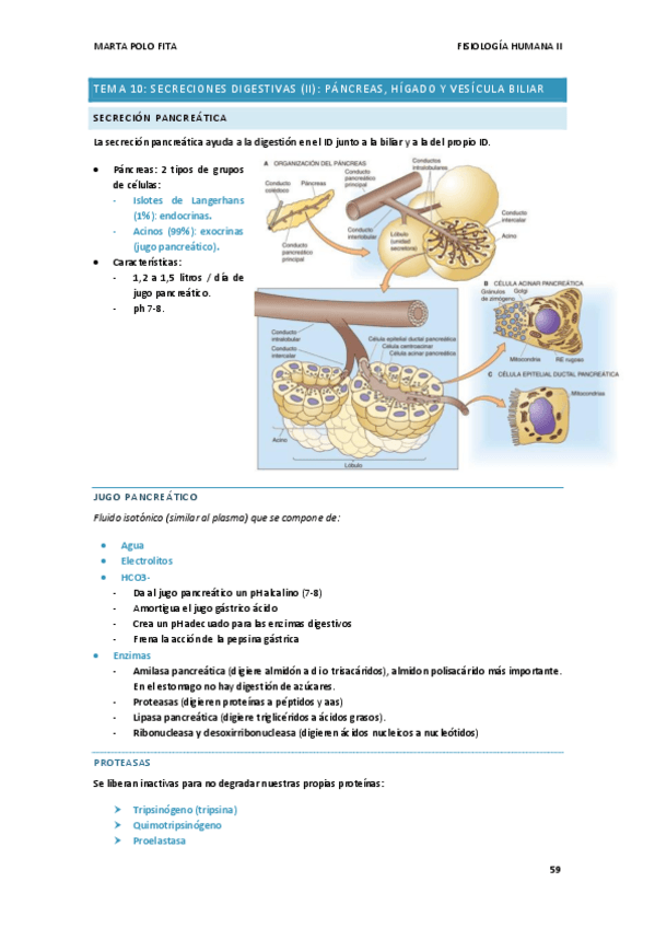 Miniatura del documento TEMA-10.FISIO.pdf