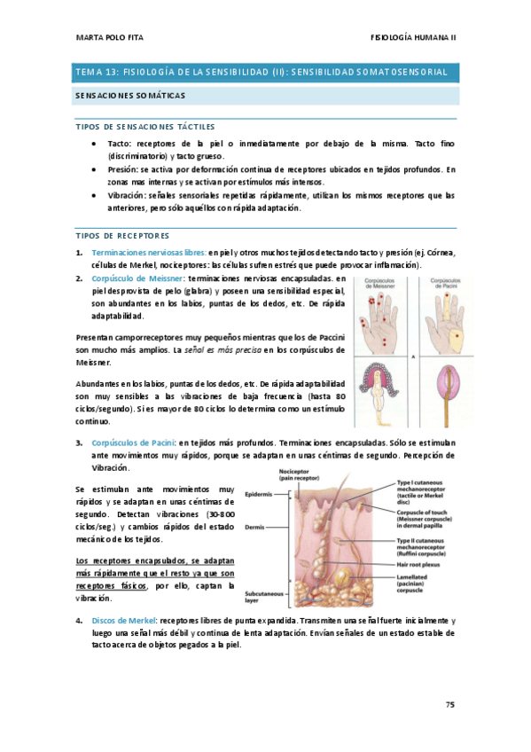 Miniatura del documento TEMA-13.-FISIO.pdf