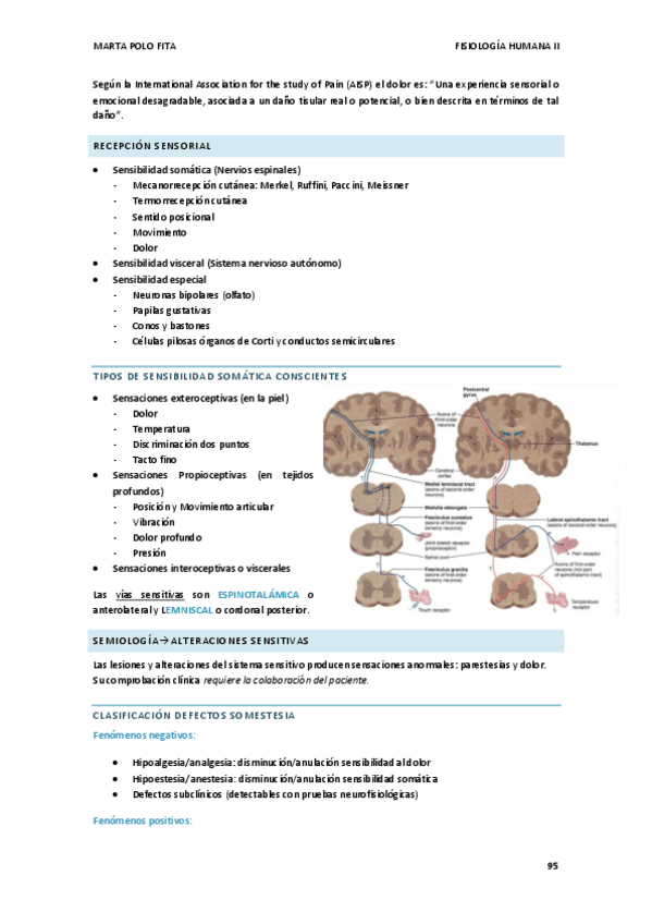 Miniatura del documento TEMA-15.-FISIO.pdf