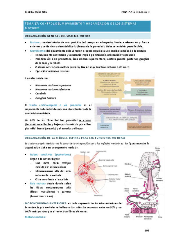 Miniatura del documento TEMA-16.FISIO.pdf